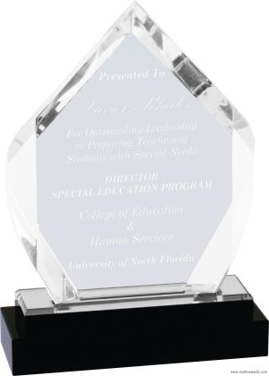 Diamond Fusion Impress Acrylic Award - Image 2