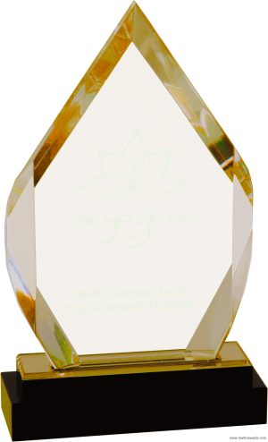 Diamond Fusion Impress Acrylic Award - Image 3