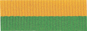 7/8" Green/Gold Neck Ribbon with Snap Clip