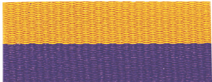 7/8" Purple/Gold Neck Ribbon with Snap Clip