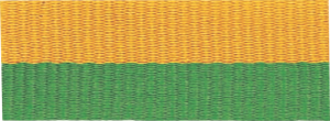 1 1/2" Green/Gold Neck Ribbon with Snap Clip