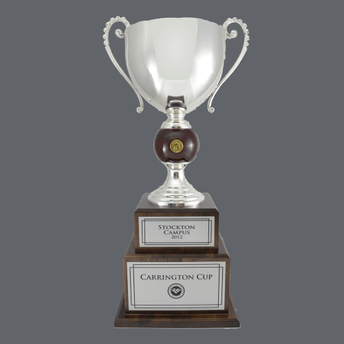 Fire and Ice Trophy Cup