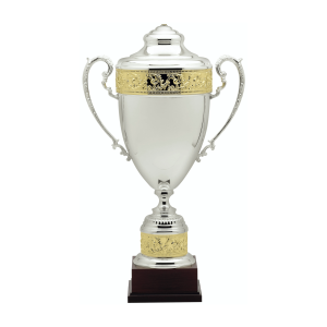 Bold and Brash Gold Accent Trophy Cup