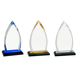 Oval Impress Acrylic Awards