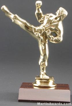 Male Karate Trophy