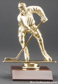 Male Hockey Trophy