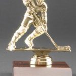 Male Action Hockey Trophy 1