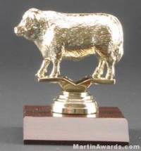 Beef Cow Trophy
