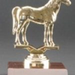 Arabian Horse Trophy 1