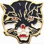 3/4″ Enameled Wildcat Mascot Pin 1
