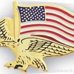 7/8″ Etched Soft Enamel Eagle Flag Chenille Letter Pin 1