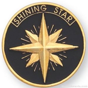 1" Shining Star Lapel Pin