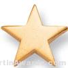 Gold Star Lapel Pin