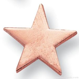 Bronze Star Lapel Pin